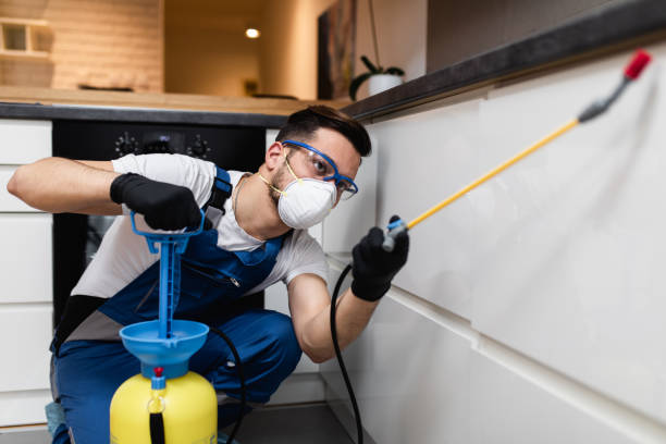 Best Flea Control Services  in Woodbridge, VA