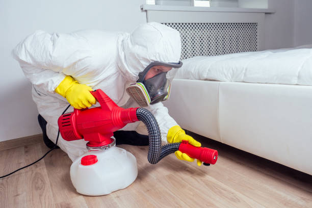 Best Emergency Pest Control  in Woodbridge, VA