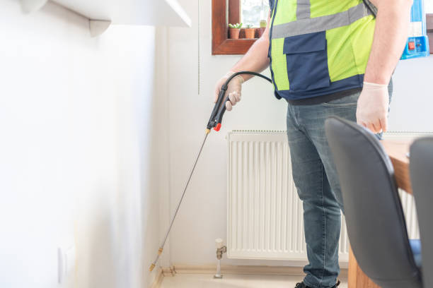 Wildlife Control Services in Woodbridge, VA