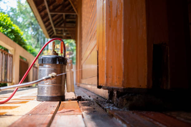 Best Affordable Pest Control Services  in Woodbridge, VA